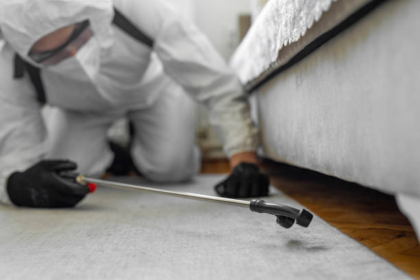 Professional Cockroach Control technician working in Sultana, CA